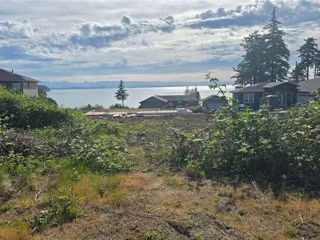 House for sale in Strathcona, British Columbia
