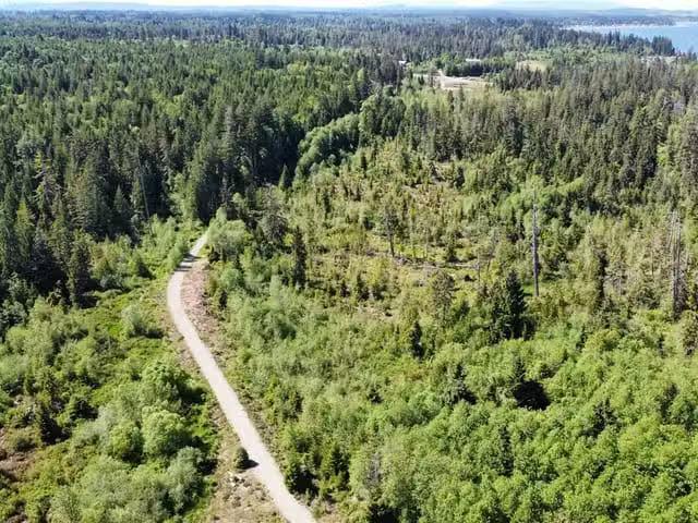 House for sale in Strathcona, British Columbia