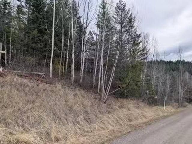 House for sale in Eagle Creek, British Columbia