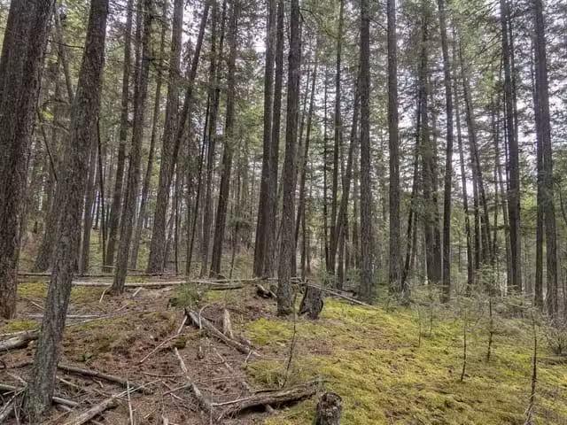 House for sale in Eagle Creek, British Columbia