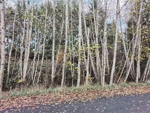 House for sale in Courtenay, British Columbia
