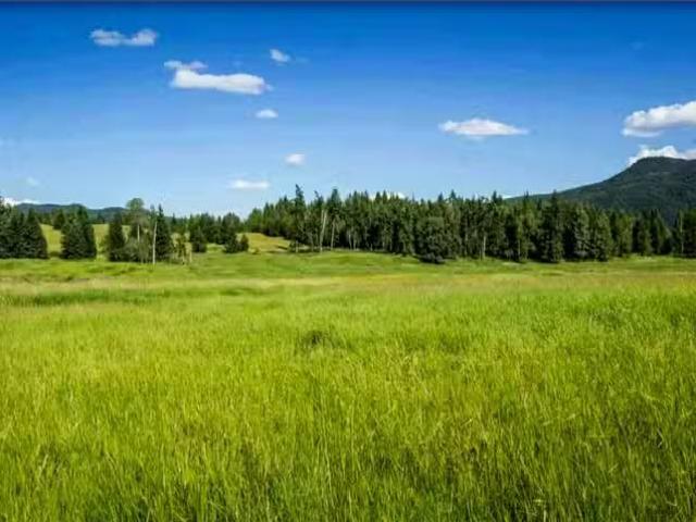 House for sale in Eagle Creek, British Columbia