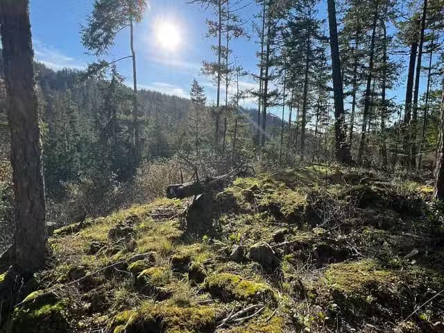 House for sale in British Columbia