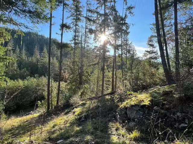 House for sale in British Columbia