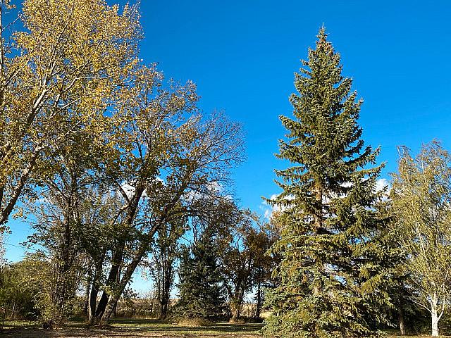Land for sale in Lake Alma, Saskatchewan