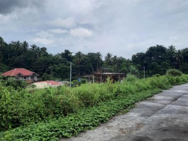 Lot for sale in Ligao