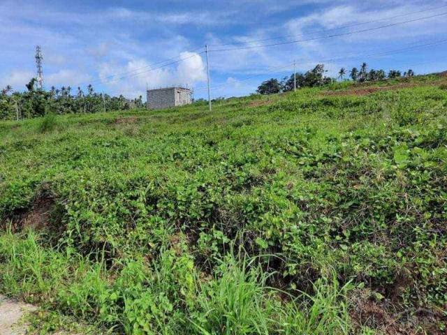 Lot for sale in Ligao