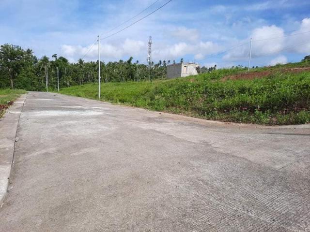 Lot for sale in Ligao