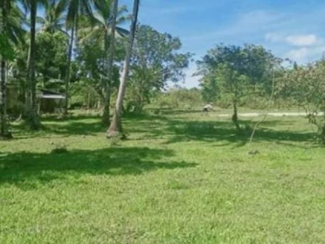Lot For Sale In Luta Del Norte Malvar, Batangas Lot For Sale In Luta Del Norte Malvar, Batangas