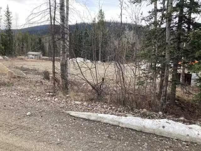 House for sale in Mackenzie, Regional District of Fraser-Fort George