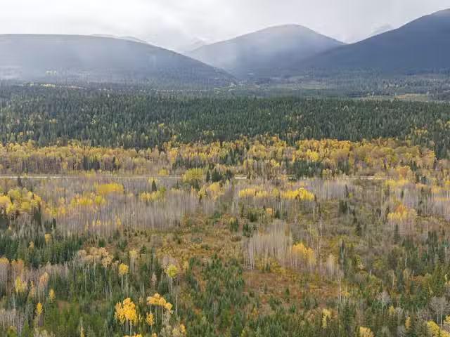 House for sale in Mcbride, British Columbia