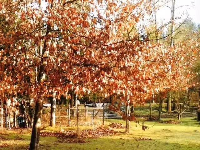House for sale in Mission, British Columbia