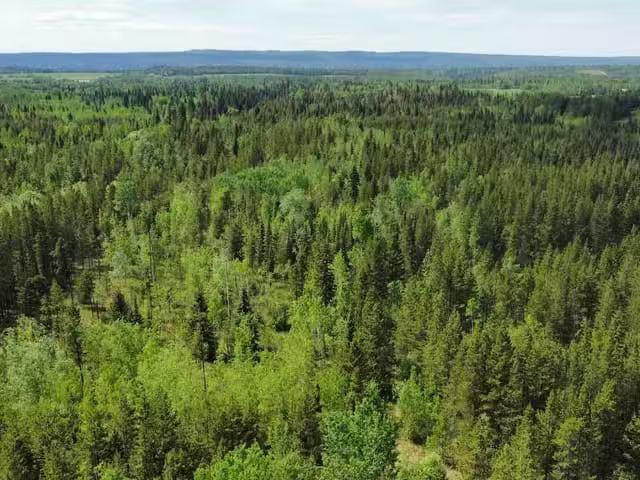 House for sale in Buckhorn, Ontario