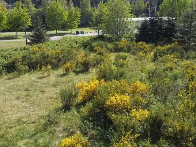 House for sale in Strathcona, British Columbia