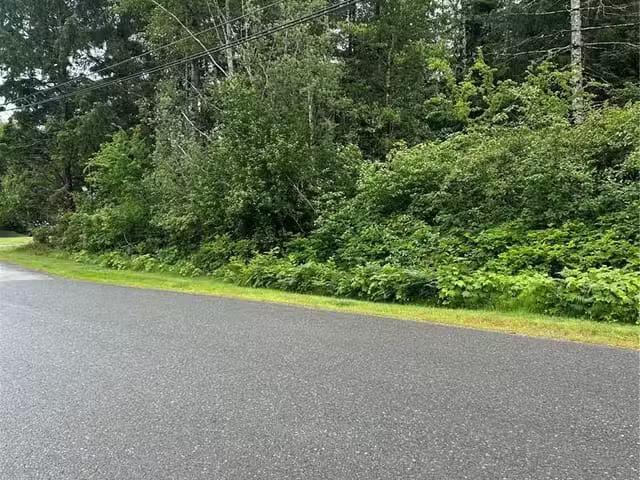 House for sale in Strathcona, British Columbia