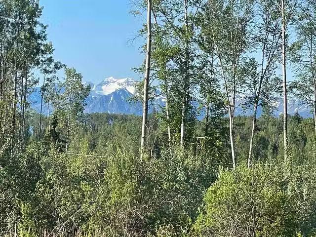 House for sale in Smithers, British Columbia
