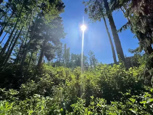 House for sale in Smithers, British Columbia
