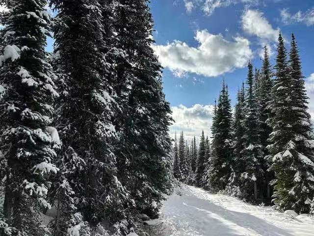 House for sale in Smithers, British Columbia