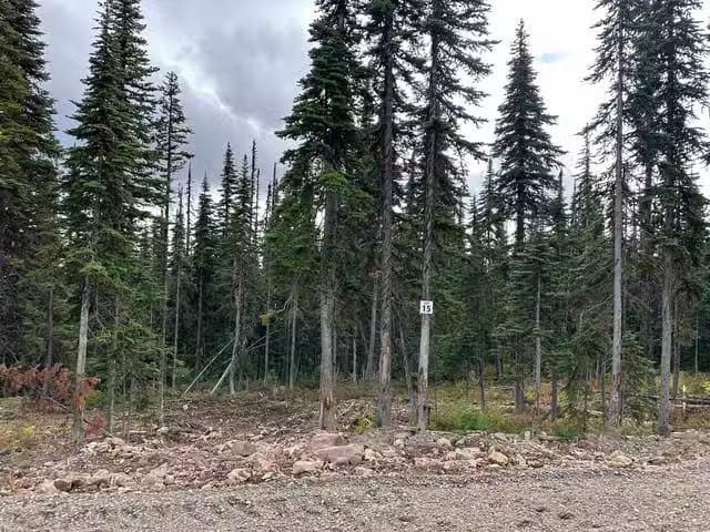 House for sale in Smithers, British Columbia