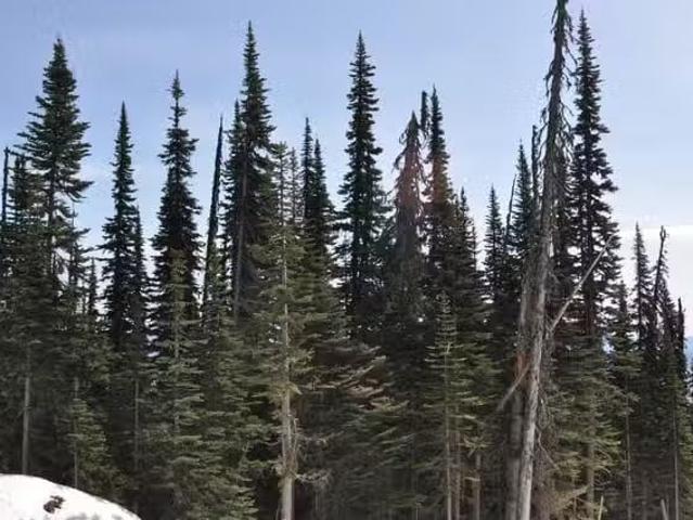 House for sale in Smithers, British Columbia