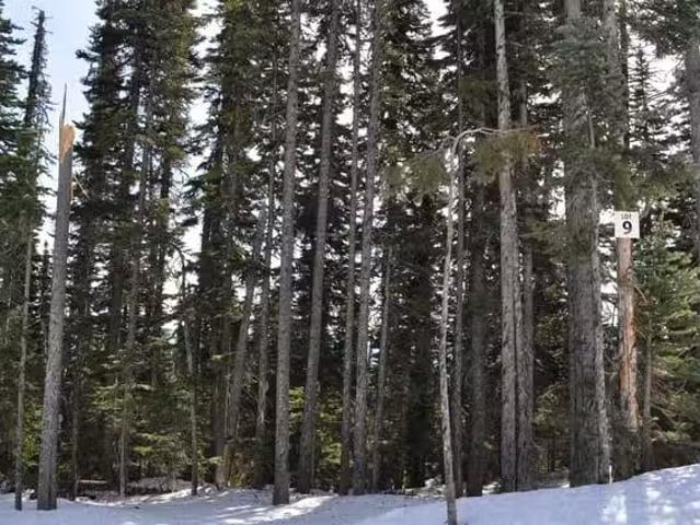House for sale in Smithers, British Columbia