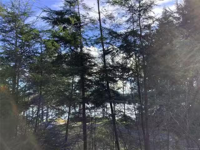 House for sale in Sointula, British Columbia