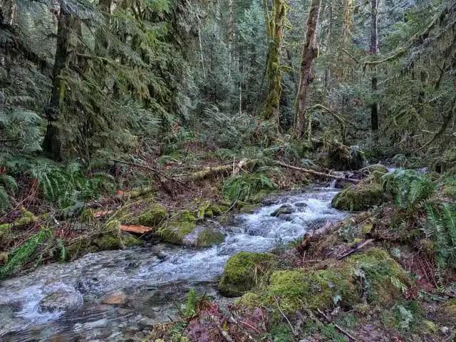 House for sale in Squamish, British Columbia