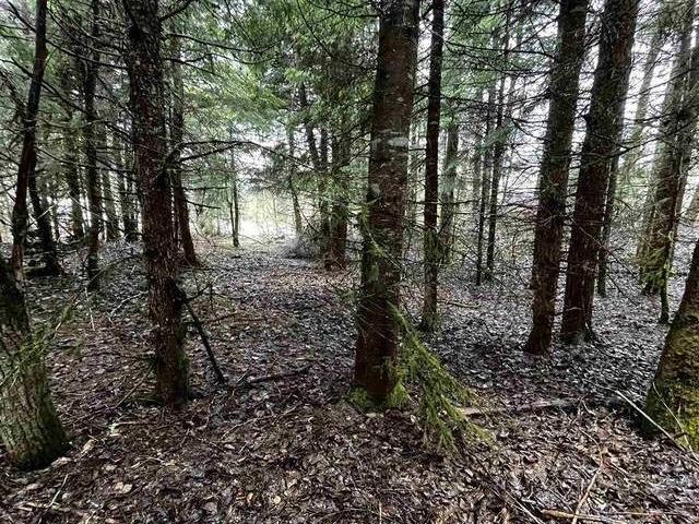 House for sale in Chilliwack, British Columbia