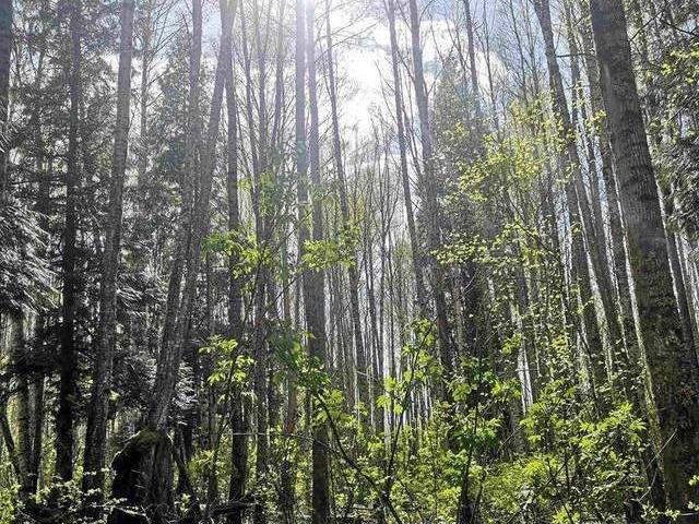 House for sale in Terrace, British Columbia