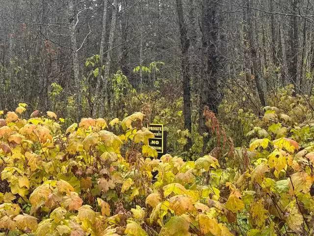 House for sale in Terrace, British Columbia