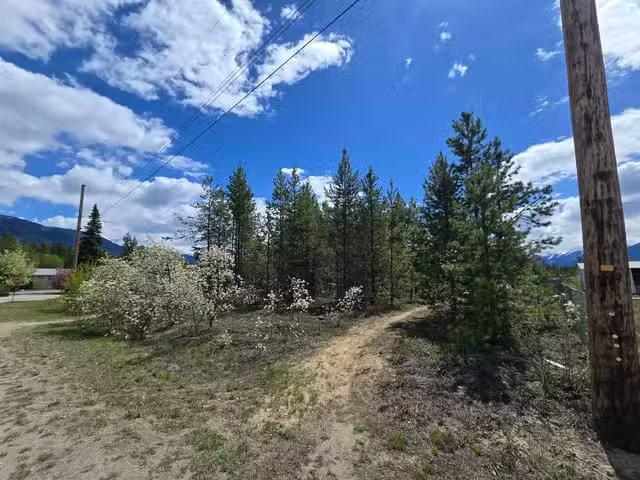 House for sale in Valemount, British Columbia