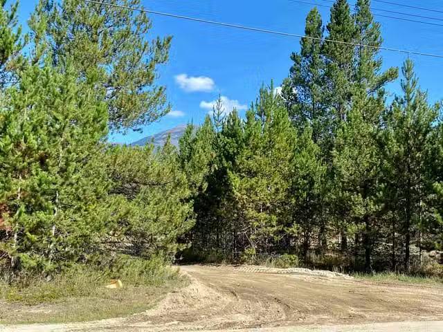 House for sale in Valemount, British Columbia