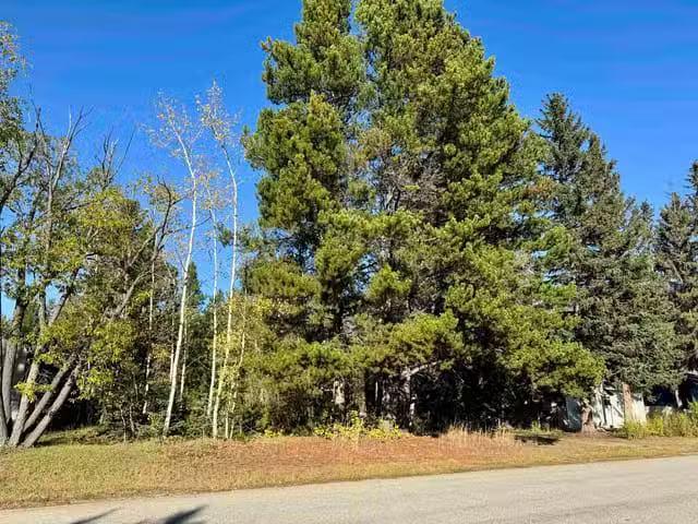 House for sale in Valemount, British Columbia