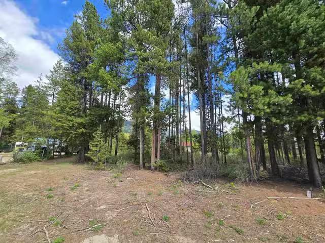 House for sale in Valemount, British Columbia