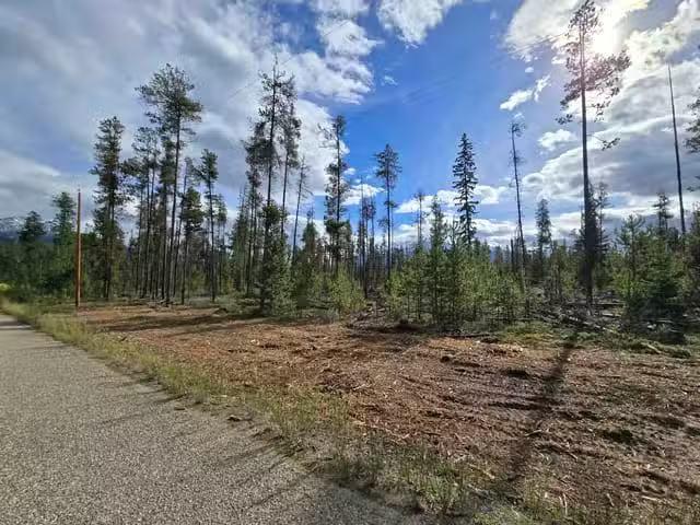 House for sale in Valemount, British Columbia