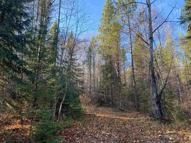 House for sale in Valemount, British Columbia