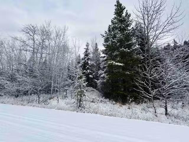 House for sale in Valemount, Regional District of Fraser-Fort George