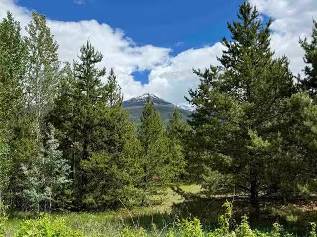 House for sale in Valemount, British Columbia
