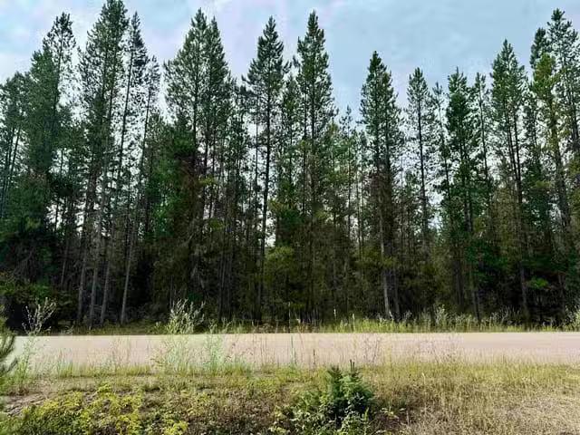 House for sale in Valemount, British Columbia