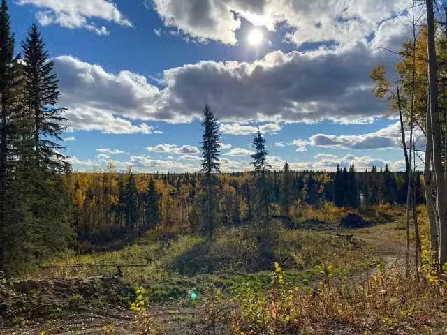 House for sale in Vanderhoof, British Columbia