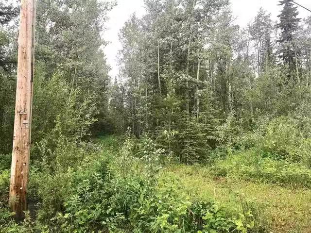 House for sale in Vanderhoof, British Columbia