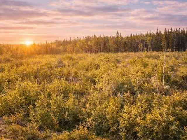 House for sale in Vanderhoof, British Columbia