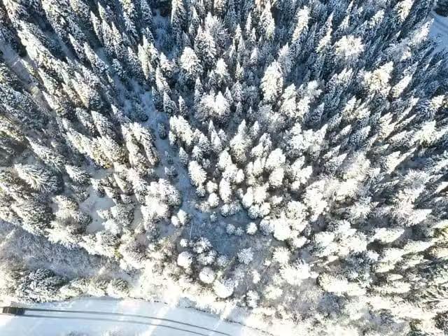 House for sale in Wells, British Columbia