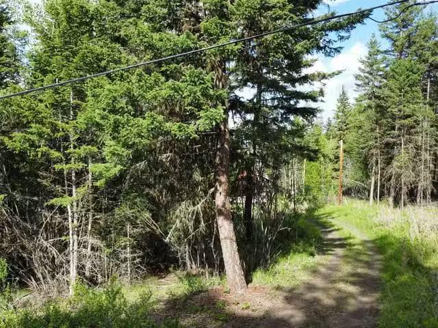 House for sale in Williams Lake, British Columbia