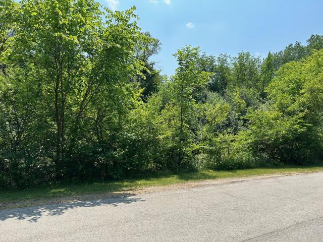 Land for sale in Medinah, Illinois