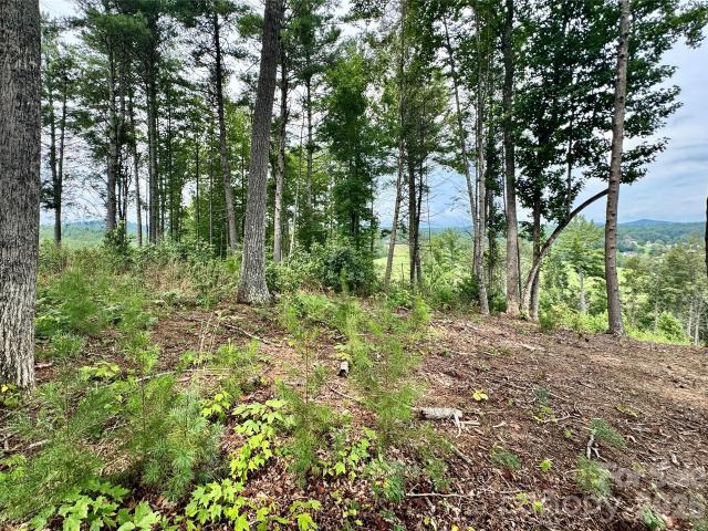 Land for sale in Lenoir, North Carolina