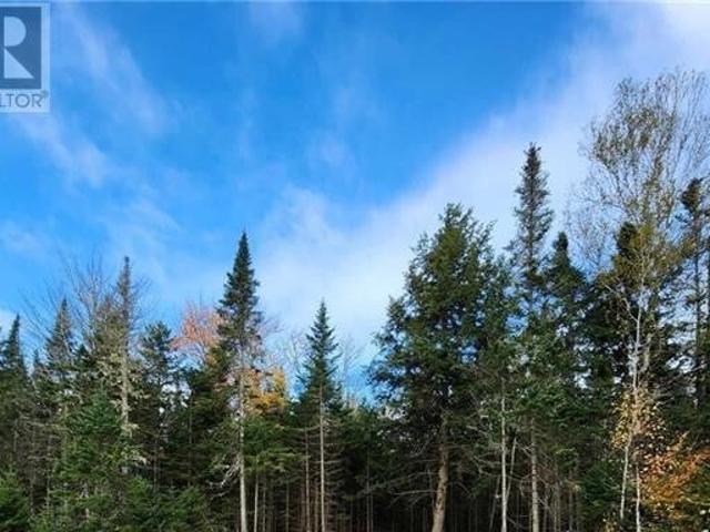 Land for sale in Penniac, New Brunswick