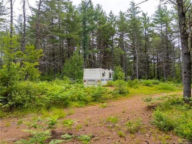 Land for sale in Charlotte, New Brunswick