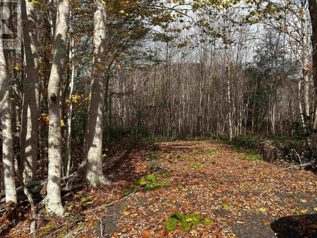 Land for sale in Karsdale, Nova Scotia