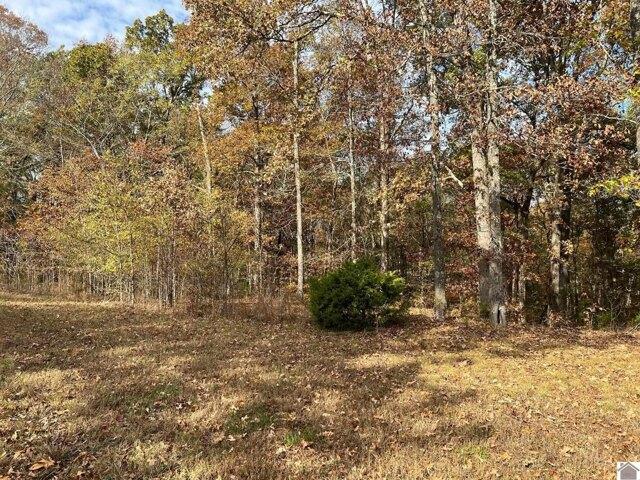Land for sale in Murray